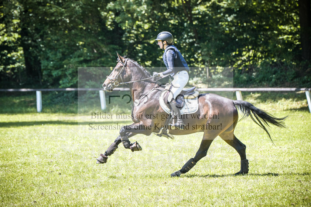DOS_2794 | Entdecke hochwertige Reitturnierfotos von Foto Oger. Professionell, emotional und authentisch – jetzt Lieblingsmomente im Shop bestellen.Deutschlandweite Turnierfotografie. - Realisiert mit Pictrs.com