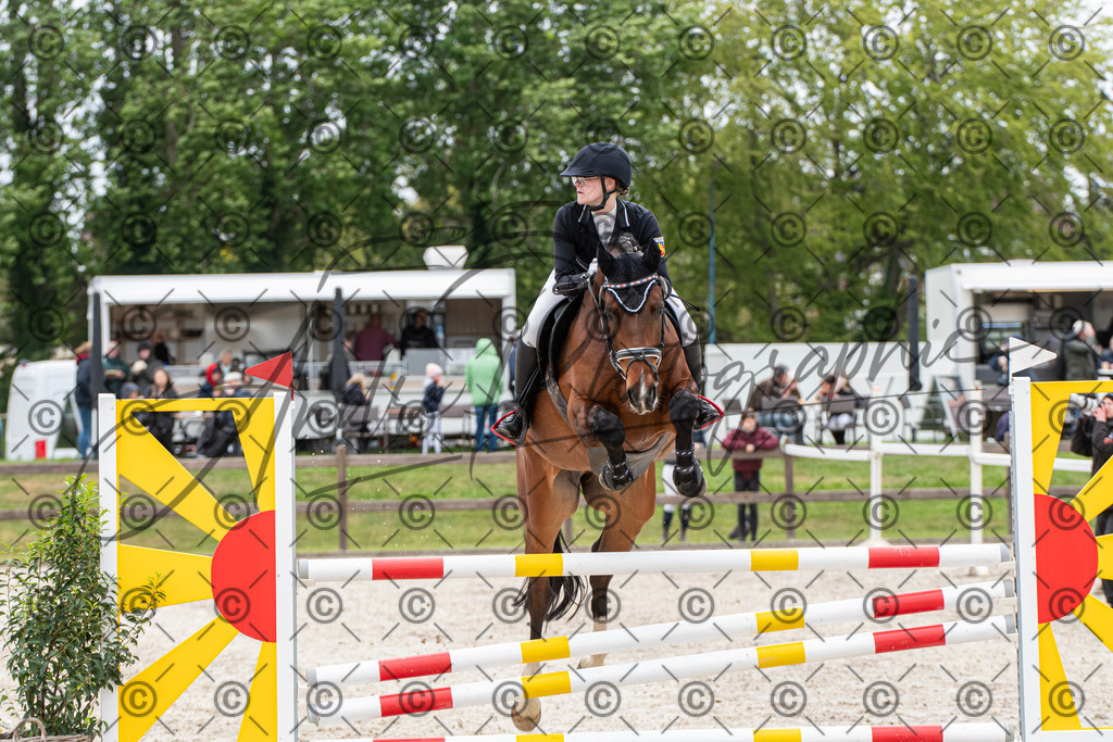 KPT_8474 | andre_photographic