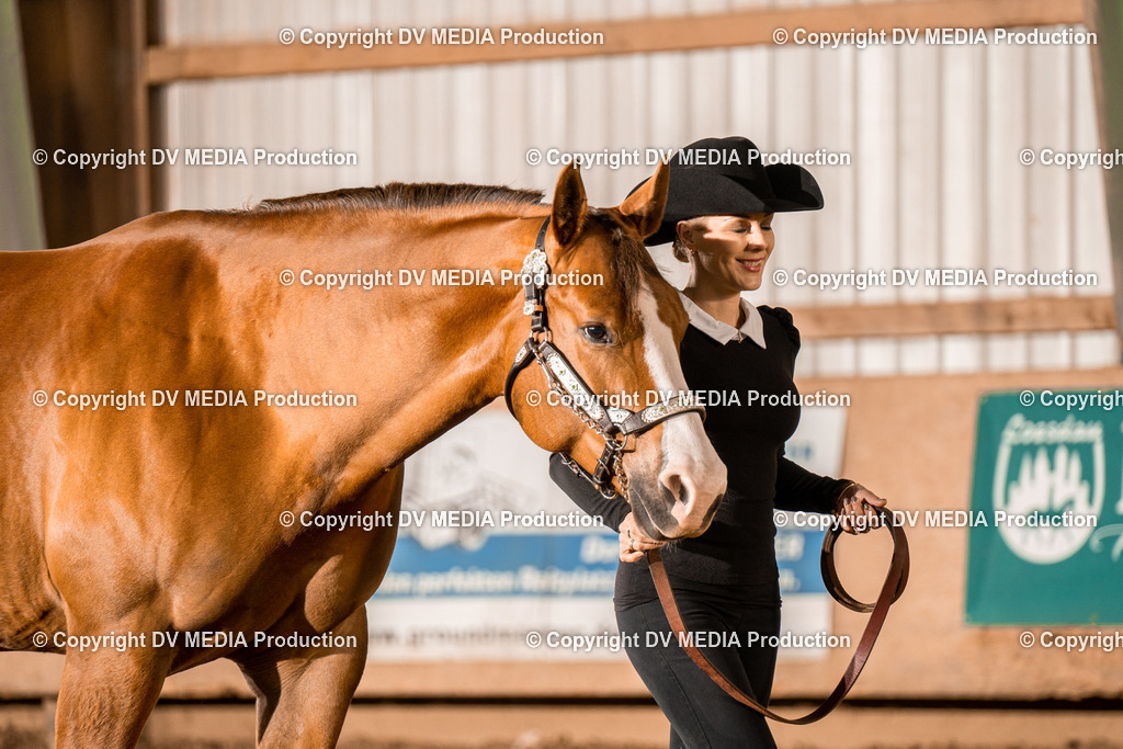 BAL01371 | dv-media-shop - Realisiert mit Pictrs.com