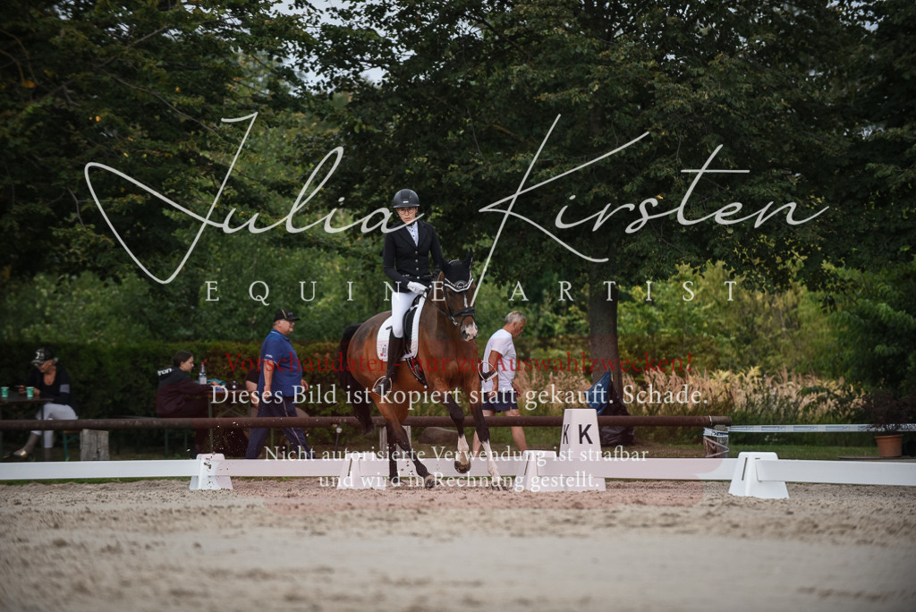 DSC_8542 | Pferde- und Turnierfotografie in Westsachsen. Pferdeportraits, Auftragszeichnungen und intuitive Kunst.
