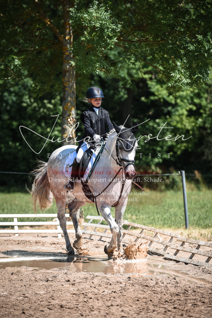 DSC_3102 | Pferde- und Turnierfotografie in Westsachsen. Pferdeportraits, Auftragszeichnungen und intuitive Kunst.