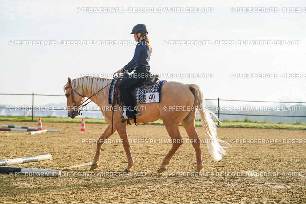 DSC09959 | Pferdegrafie