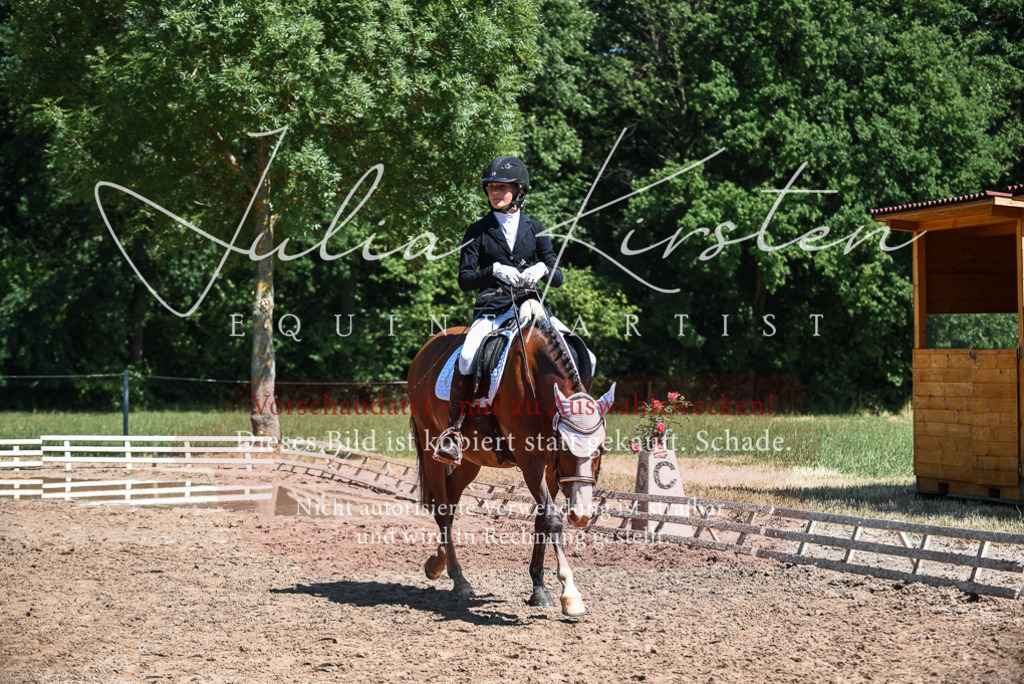 DSC_3192 | Pferde- und Turnierfotografie in Westsachsen. Pferdeportraits, Auftragszeichnungen und intuitive Kunst.