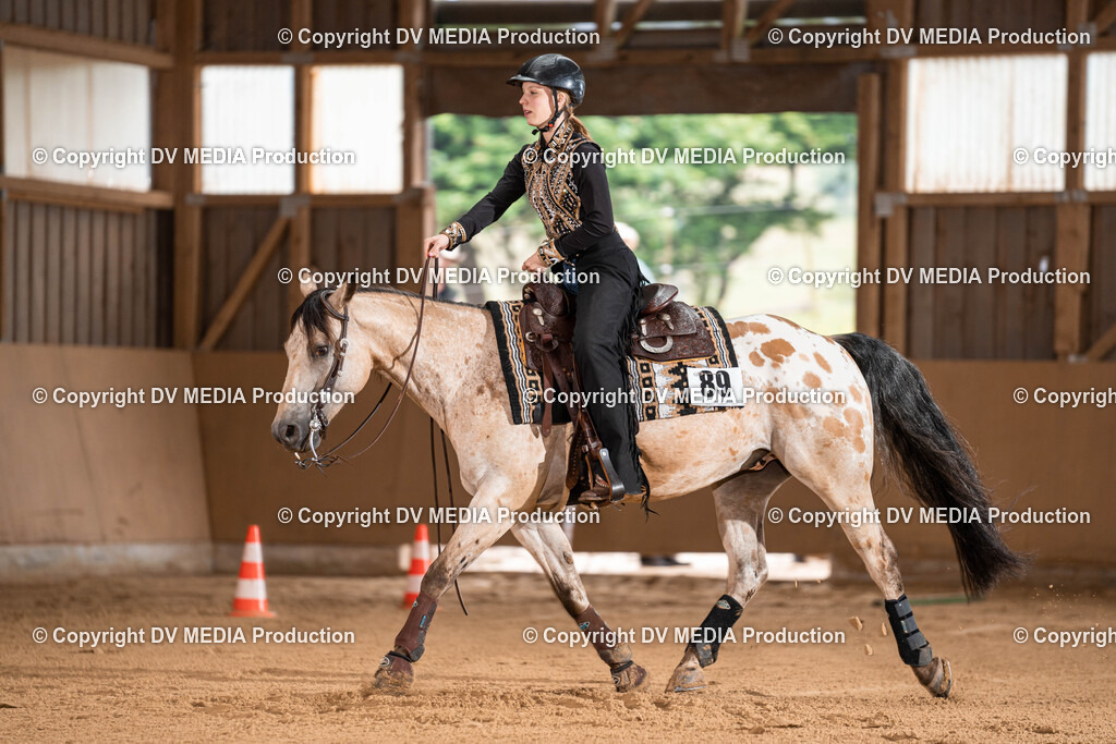 Losheim Tag 1-321 | dv-media-shop - Realisiert mit Pictrs.com