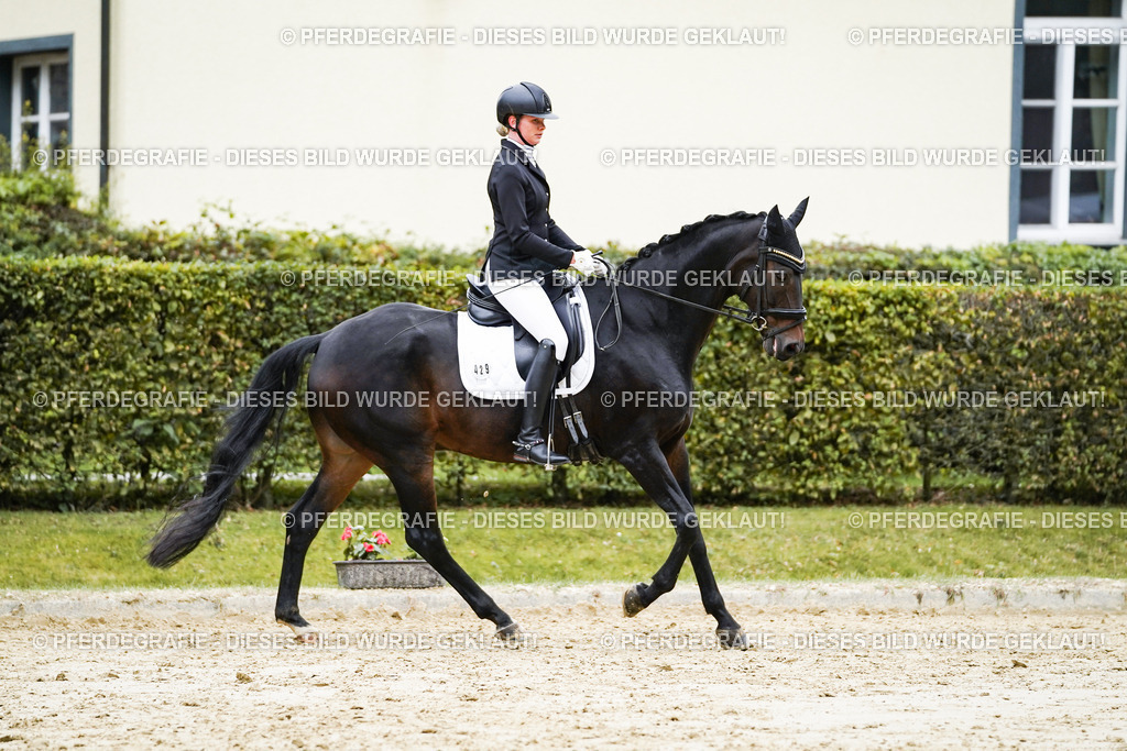 DSC07163 | Pferdegrafie