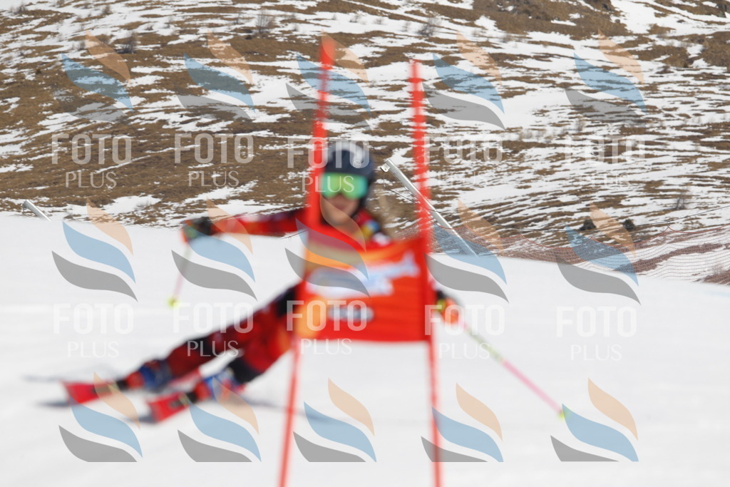 _U3G0397 | holidayphoto