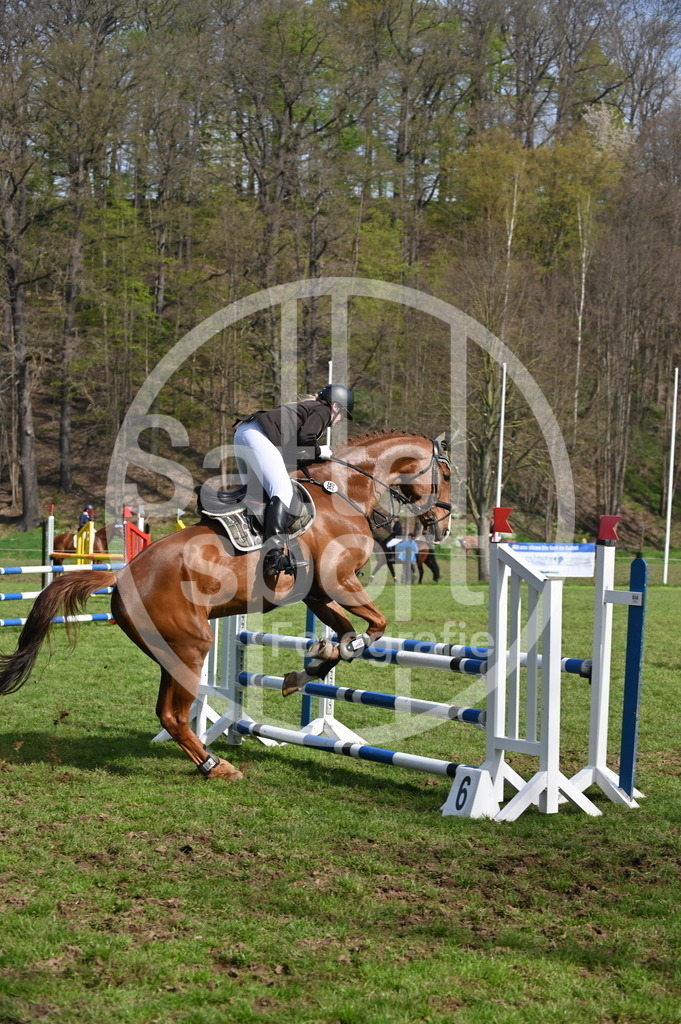 DSC_0629 | sattelsport - Realisiert mit Pictrs.com