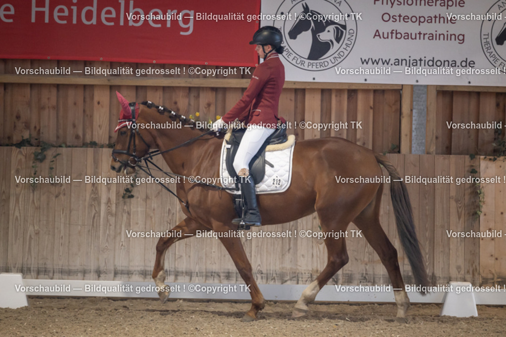 _D5A2087 | Emotionale Pferde- & People-Fotografie rund um Heidelberg, Leimen & Umgebung. Natürliche Fotos von Pferd, Mensch & Familie. Jetzt Termin sichern!