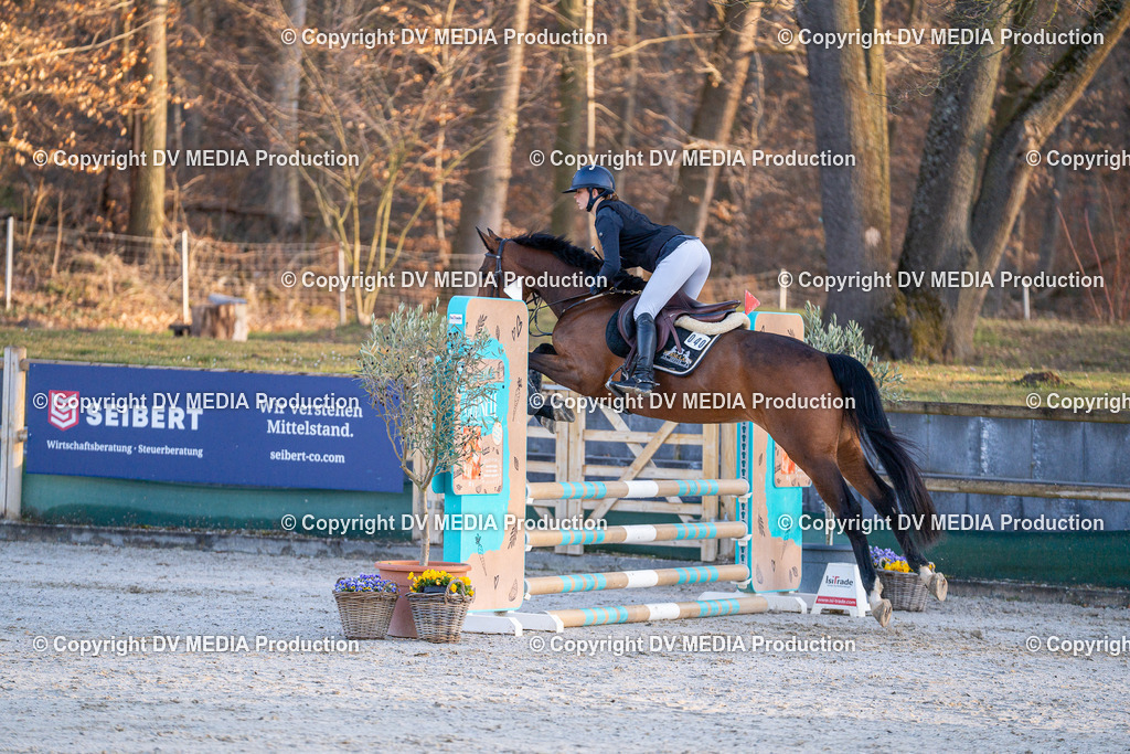 DSC-246 | dv-media-shop - Realisiert mit Pictrs.com