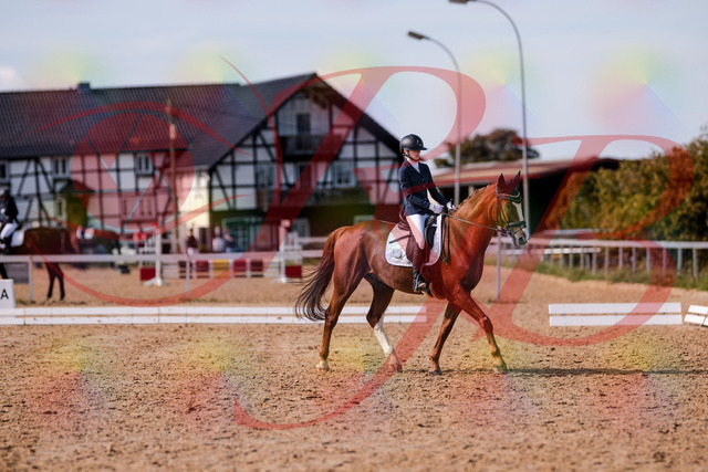 2026_10_03_Siefer-Hof_133156_Z81_87480889 | Professionelle Reitsport-, Turnier- und Eventfotografie von Robert Broda. Galerien mit ausgewählten und bearbeiteten Bildern direkt online ansehen und bestellen.