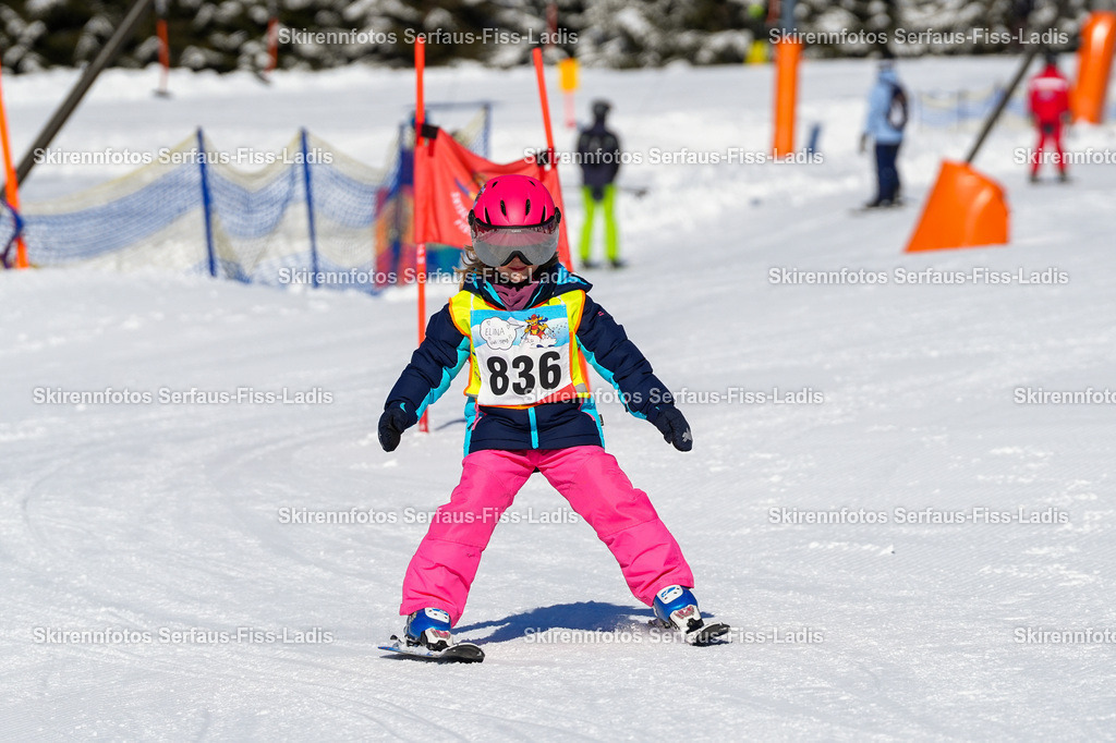 SRF_30.01.2026_0075 | SRF_30.01.2026_0075 - Realisiert mit Pictrs.com