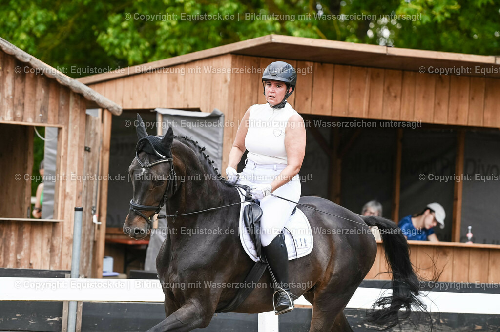 20230715_05_Dressurprüfung Kl.A++_0171 | equistock
