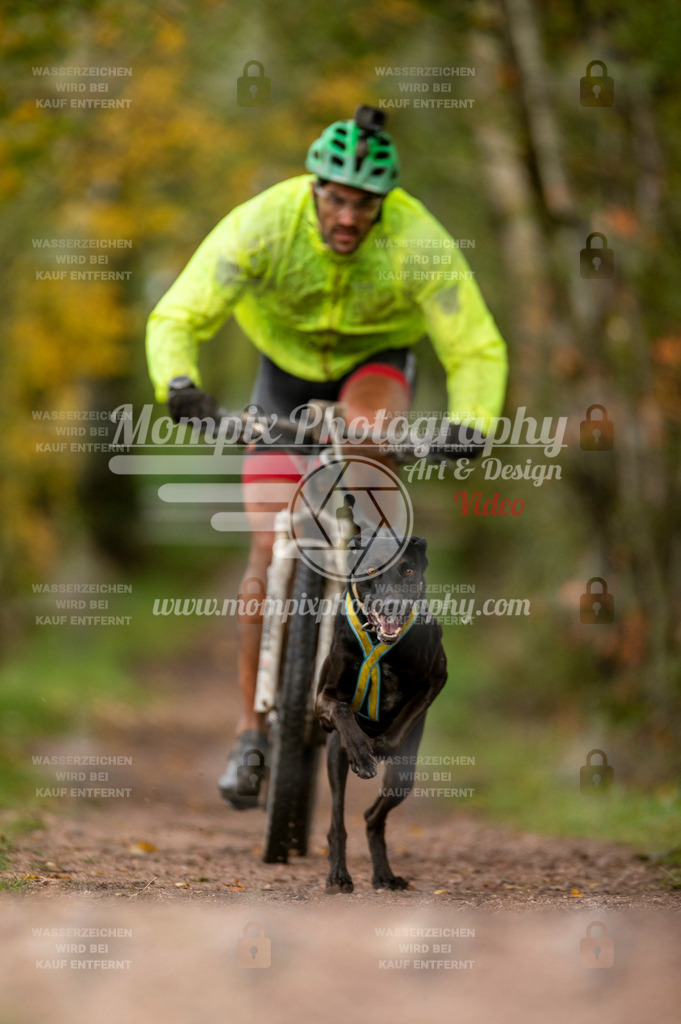 TSB_2023_E4_Bike-7 | PayLife