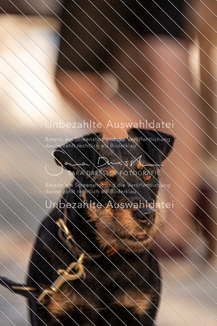 LR261_SD_07202 | saradresslerfotografie - Realisiert mit Pictrs.com