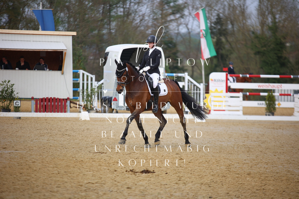 IMGT8193 | pl-fotografie