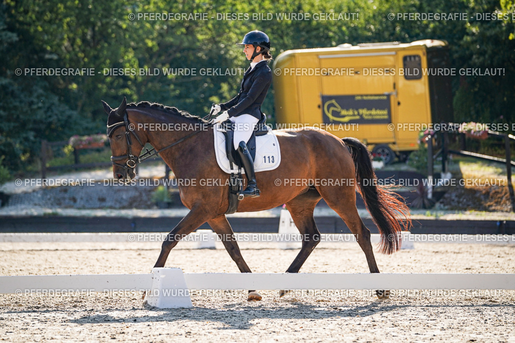 DSC09306 | Pferdegrafie