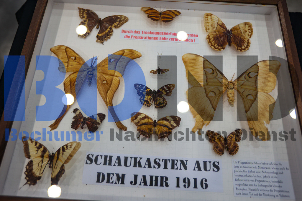 SES_INSBOC20250316-12 | bond - Realisiert mit Pictrs.com