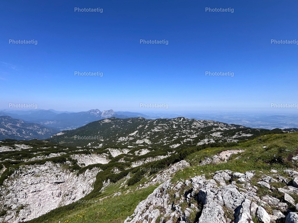 IMG_4289 | phototaetig