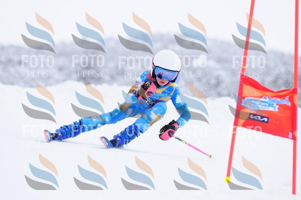 C2706 | holidayphoto