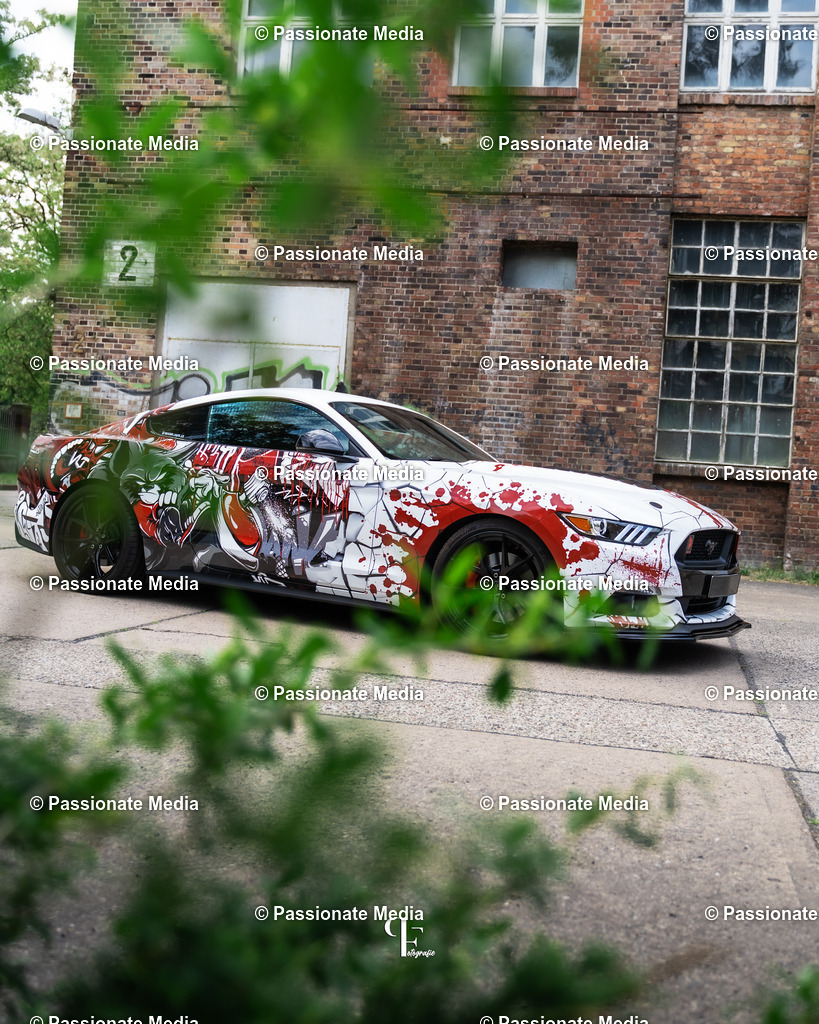 DSC04802 | Passionate Media, dein Fotograf aus Brandenburg, Märkisch Oderland, im Bereich Motorsport, Autos und Motorräder sowie Events und auch Hunde. Shootings oder auch Eventbegleitungen können bei mir gebucht we