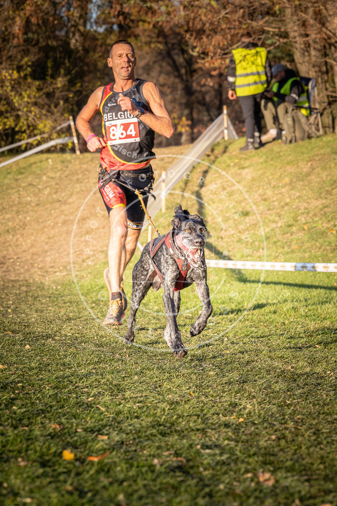 CaniXpix_0L8A0978 | Hundefotografie, Tierfotograf, Pfotenfotografie, Fotoshooting Hund, Hunde Portrait, Hundesport, Hundeportraits, Heideshooting, Hunde, Sportfotograf, Hundefotograf, Turnierhundsport, THS,  - Realisiert mit Pictrs.com