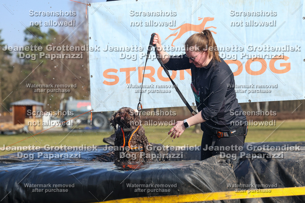 Dog Paparazzi - Strongdog North Mrz26-3228 | Dog Paparazzi Jeanette Grottendiek Fotografie & Videografie - Realisiert mit Pictrs.com