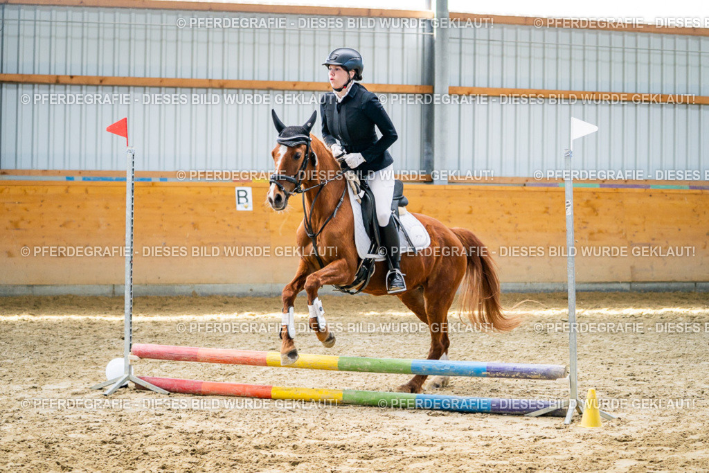 DSC02067 | Pferdegrafie