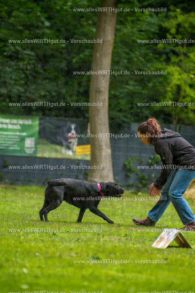 @allesWIRTHgut_Tierfotografie - www.allesWIRTHgut.de - 101728-7R508309 | Professionelle Tierfotografie in Mönchengladbach von Daniel Wirth (allesWIRTHgut). Liebevolle & natürliche Bilder von Hunden & Katzen für unvergessliche Erinnerungen.