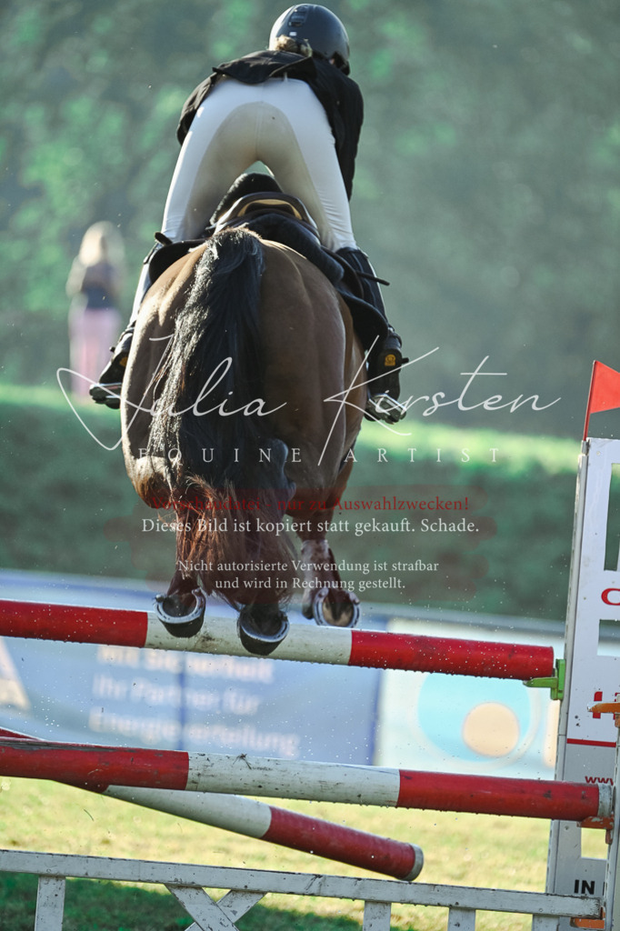 DSC_4306 | Pferde- und Turnierfotografie in Westsachsen. Pferdeportraits, Auftragszeichnungen und intuitive Kunst.