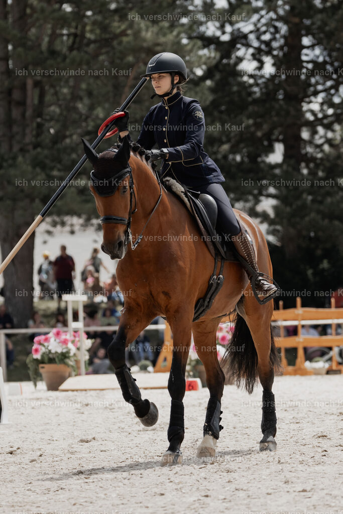 WE_ST_Stoib_335_PI2025_1018 | Pferd International München 2025