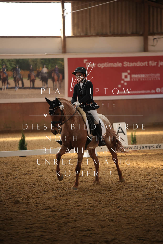 IMGT8322 | pl-fotografie