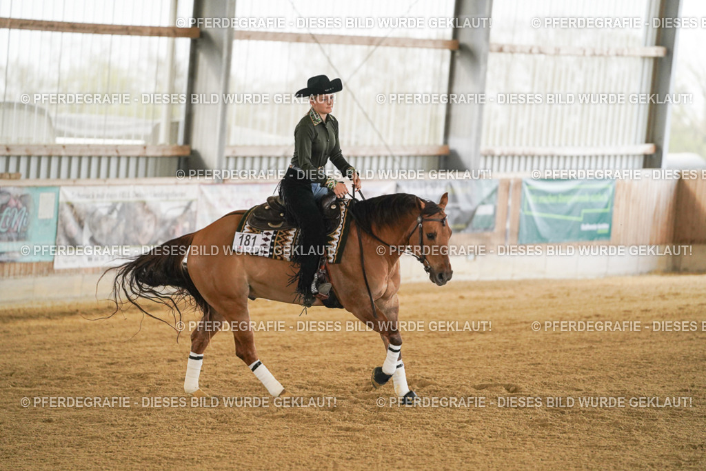 DSC07970 | Pferdegrafie