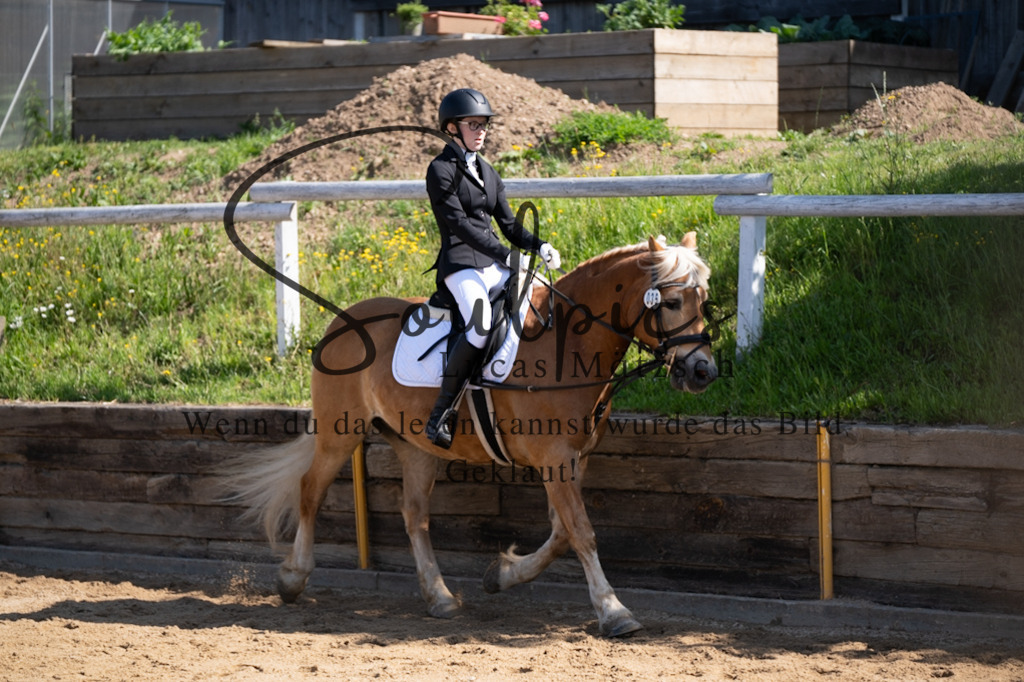A7V07769 | Turnier/Reitfotograf