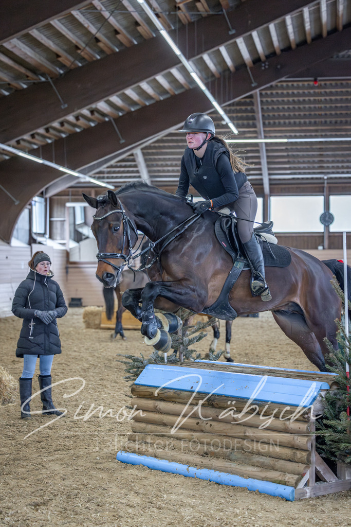 20260221-_3LI0472 | Tierfotografie Pferde, Hunde, Katzen, Haustiere.
Turnierfotografie Reitturniere, Reiten, Springreiten, Dressur in Hanau, dem Main-Kinzig-Kreis und dem Rhein-Main- Gebiet um Frankfurt
