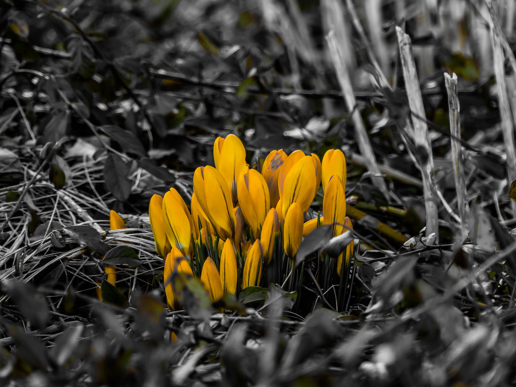 PSX_20230309_230447 | mtkfoto_ - Realisiert mit Pictrs.com