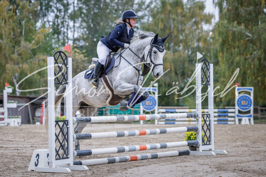 20251012-_3LI3318 | Tierfotografie Pferde, Hunde, Katzen, Haustiere.
Turnierfotografie Reitturniere, Reiten, Springreiten, Dressur in Hanau, dem Main-Kinzig-Kreis und dem Rhein-Main- Gebiet um Frankfurt
