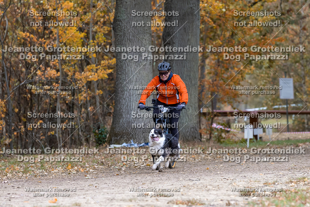 Dog Paparazzi - SD CaniX Championship 2025-580 | Dog Paparazzi Jeanette Grottendiek Fotografie & Videografie - Realisiert mit Pictrs.com