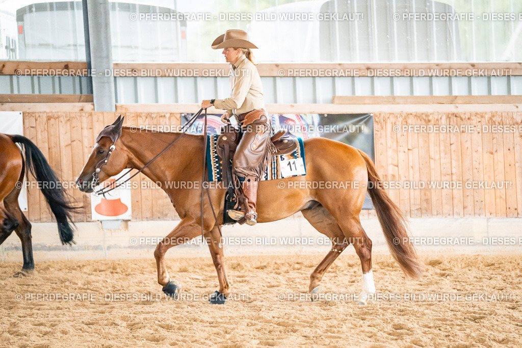 DSC00990 | Pferdegrafie