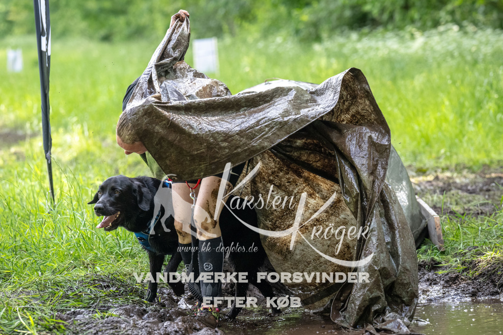 1237_ZZ92638 | kk-dogfotos