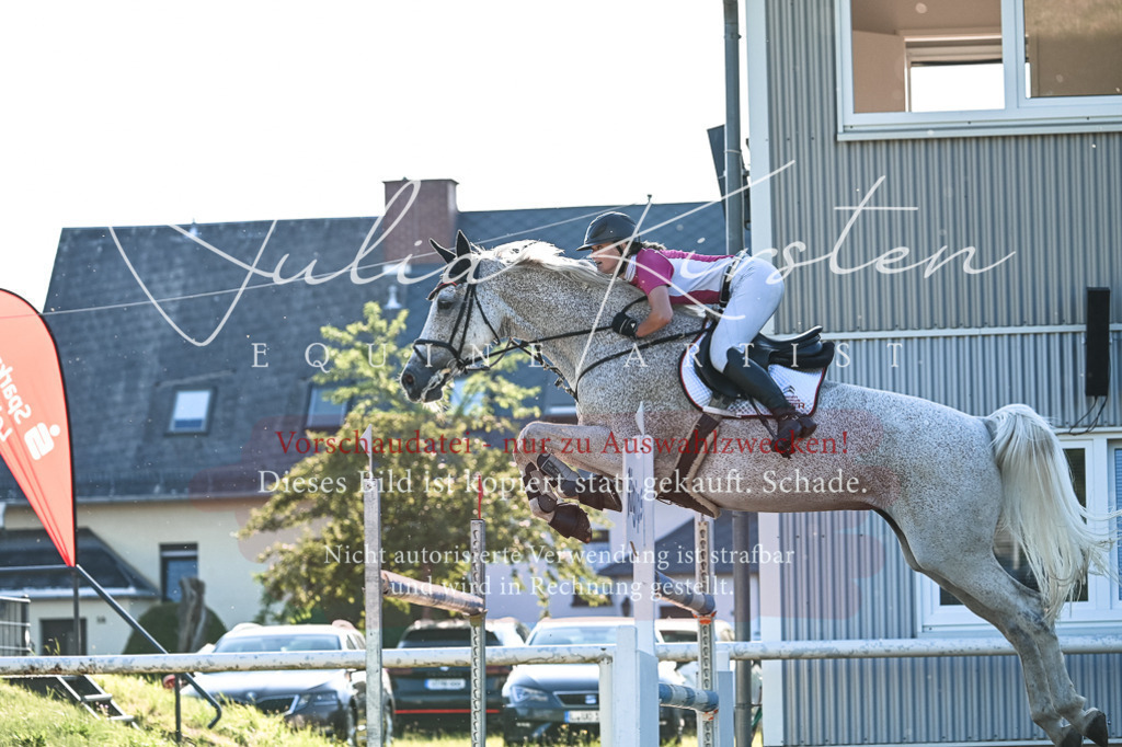 DSC_3135 | Pferde- und Turnierfotografie in Westsachsen. Pferdeportraits, Auftragszeichnungen und intuitive Kunst.