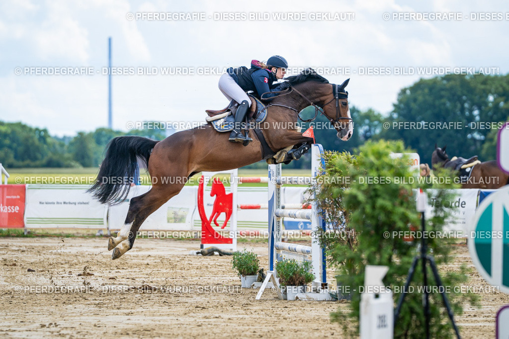 DSC05590 | Pferdegrafie