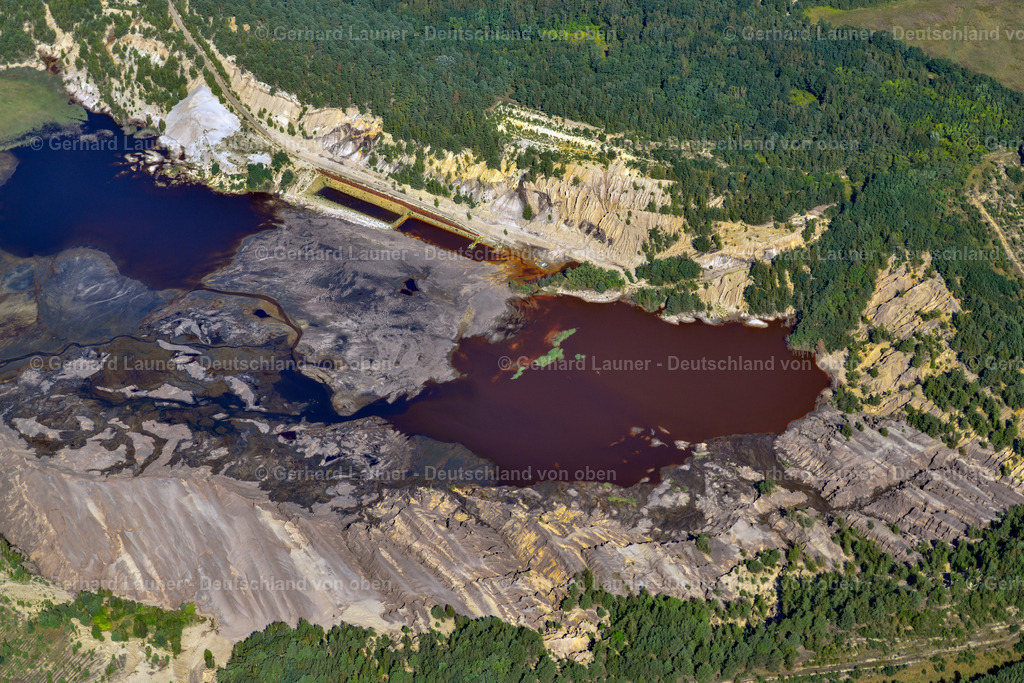 3637031 | BRAUNSBEDRA 08.09.2021 Rekultivierung der ehemaligen Tagebau - Fläche an den Uferbereichen des Sees " Geiseltalsee " in Braunsbedra im Bundesland Sachsen-Anhalt, Deutschland. // Open pit re cultivation on the shores of the lake " Geiseltalsee " in Braunsbedra in the state Saxony-Anhalt, Germany. Foto: Gerhard Launer