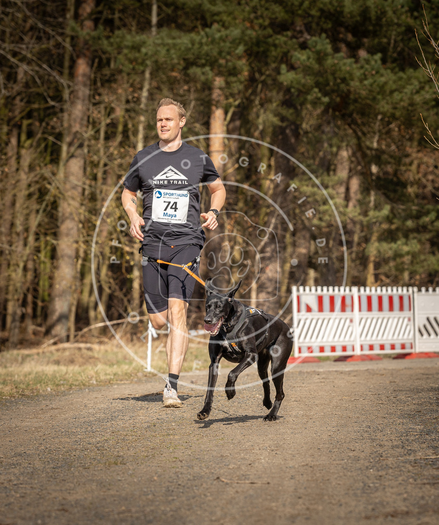 DV3A5661 | Hundefotografie, Tierfotograf, Pfotenfotografie, Fotoshooting Hund, Hunde Portrait, Hundesport, Hundeportraits, Heideshooting, Hunde, Sportfotograf, Hundefotograf, Turnierhundsport, THS,  - Realisiert mit Pictrs.com