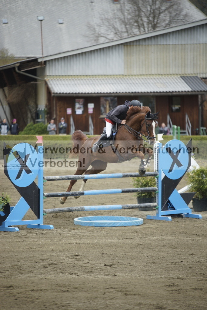 _DSC7322 | equestrian-live-com