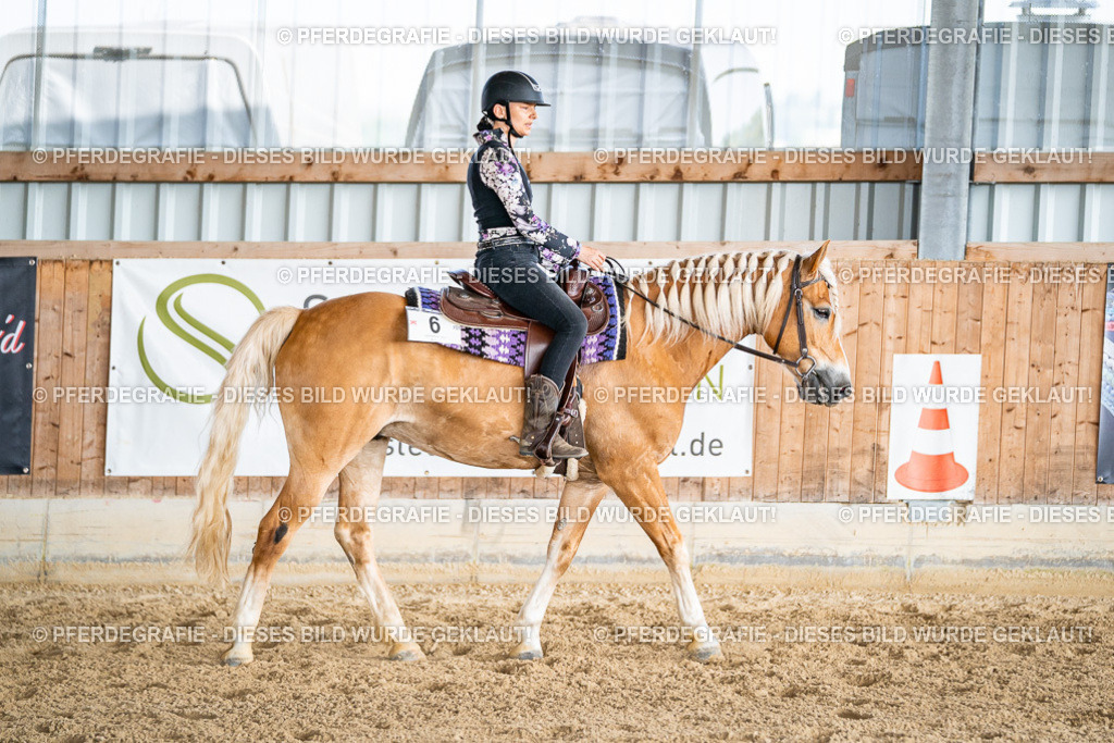 DSC09145 | Pferdegrafie