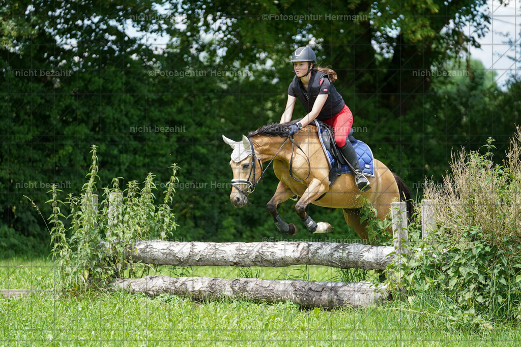 20240622-FAH07463 | Turnierfotografen Bayern, Reitsportbilder aus dem Geländekurs mit Felix Etzel auf dem Gut Waitzacker 2024