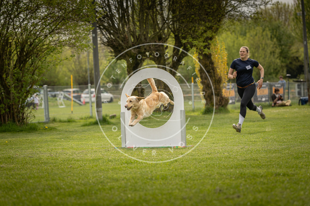 Pfotenfotografie_DV3A6436 | Hundefotografie, Tierfotograf, Pfotenfotografie, Fotoshooting Hund, Hunde Portrait, Hundesport, Hundeportraits, Heideshooting, Hunde, Sportfotograf, Hundefotograf, Turnierhundsport, THS,  - Realisiert mit Pictrs.com
