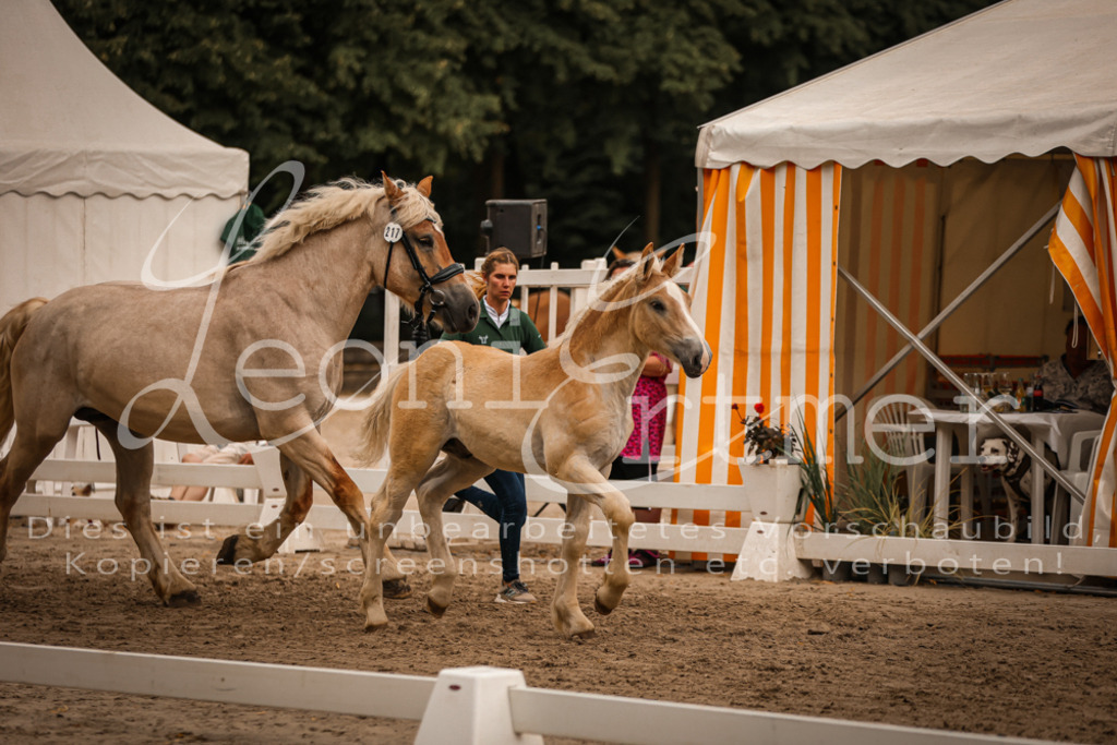 SaHF00058 | Leoni Ertmer Photography - Realisiert mit Pictrs.com