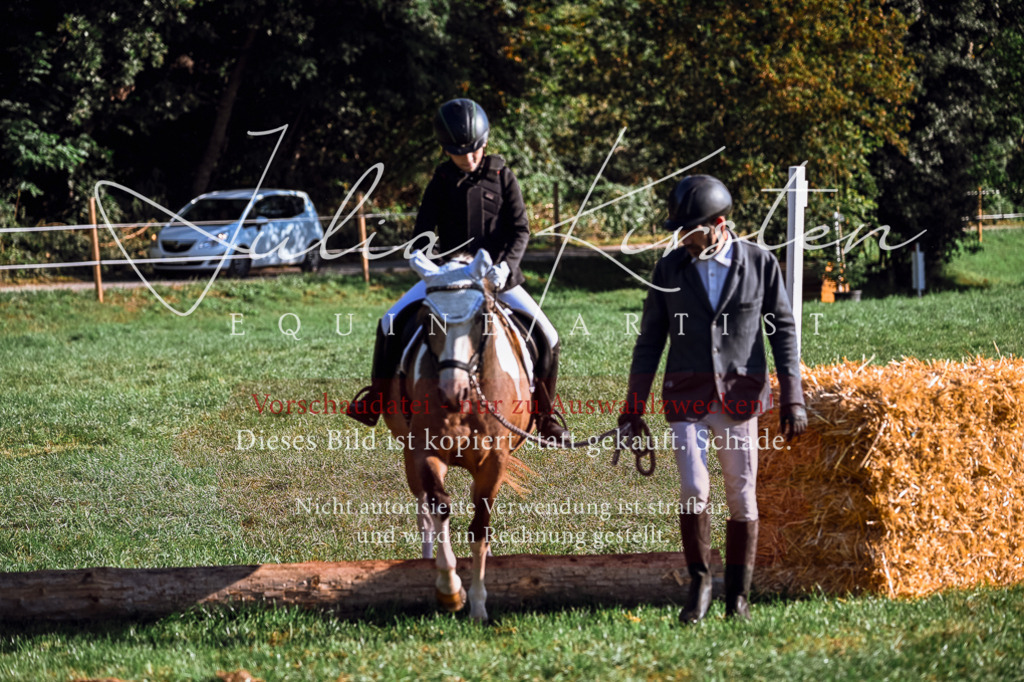 DSC_0307 | Pferde- und Turnierfotografie in Westsachsen. Pferdeportraits, Auftragszeichnungen und intuitive Kunst.