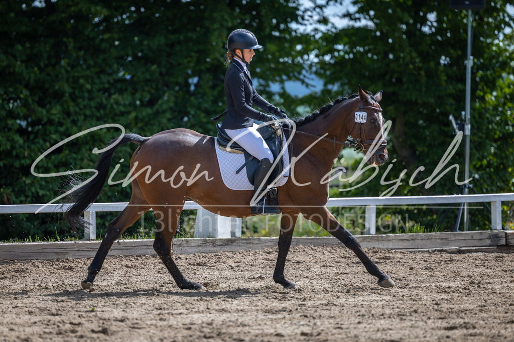 20260905-_3LI7770 | Tierfotografie Pferde, Hunde, Katzen, Haustiere.
Turnierfotografie Reitturniere, Reiten, Springreiten, Dressur in Hanau, dem Main-Kinzig-Kreis und dem Rhein-Main- Gebiet um Frankfurt